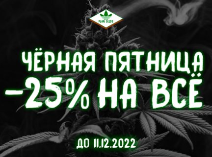 продажа семян марихуаны хорошие сайты
